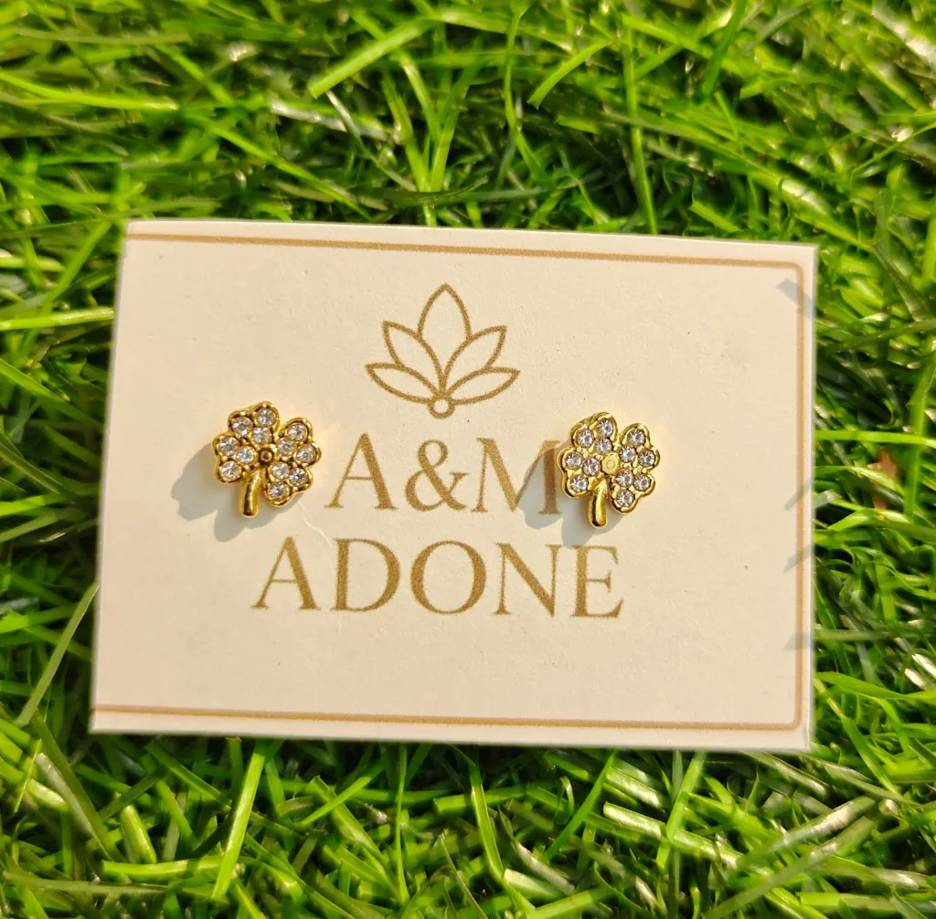 WhatsApp Image 2026-01-02 at 3.28.30 PM.webp